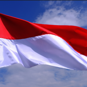 The Independence Day of the Republic Indonesia